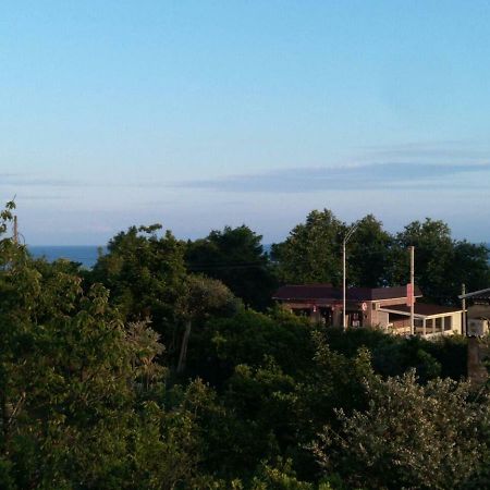 Guest House Nika New Athos Zewnętrze zdjęcie